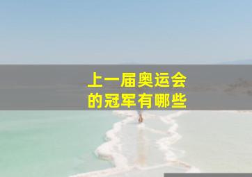 上一届奥运会的冠军有哪些