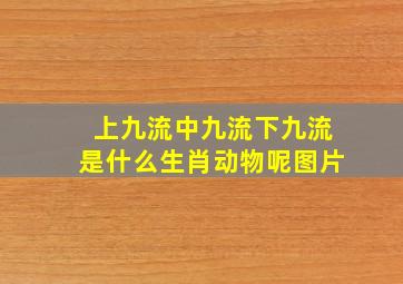 上九流中九流下九流是什么生肖动物呢图片