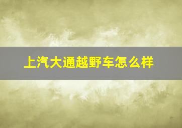 上汽大通越野车怎么样