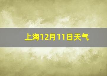 上海12月11日天气