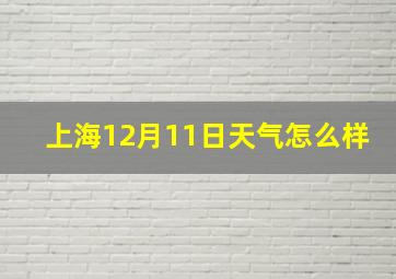 上海12月11日天气怎么样