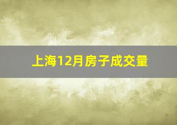 上海12月房子成交量