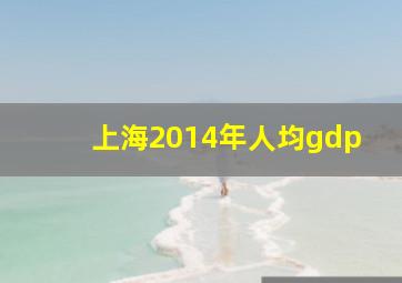 上海2014年人均gdp