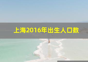 上海2016年出生人口数