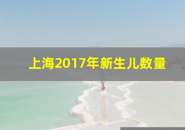 上海2017年新生儿数量