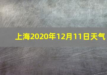 上海2020年12月11日天气