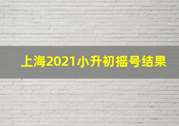 上海2021小升初摇号结果