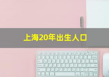 上海20年出生人口