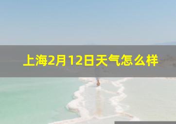 上海2月12日天气怎么样