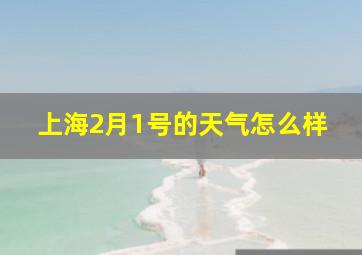 上海2月1号的天气怎么样