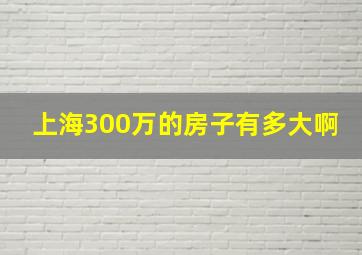 上海300万的房子有多大啊