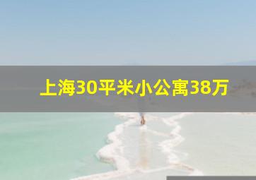 上海30平米小公寓38万