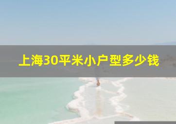 上海30平米小户型多少钱