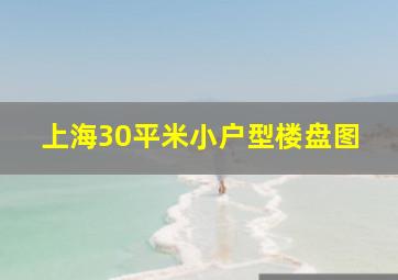 上海30平米小户型楼盘图