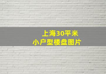 上海30平米小户型楼盘图片