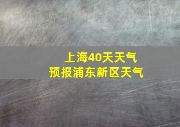 上海40天天气预报浦东新区天气