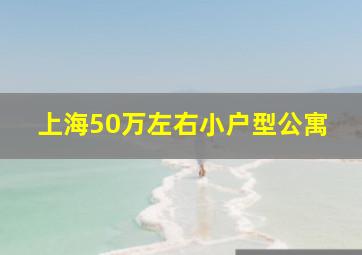 上海50万左右小户型公寓