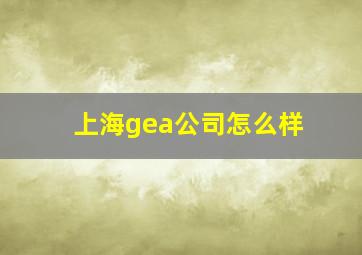 上海gea公司怎么样