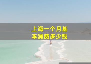 上海一个月基本消费多少钱