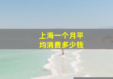 上海一个月平均消费多少钱