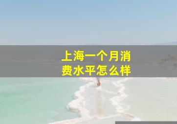 上海一个月消费水平怎么样