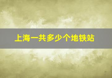 上海一共多少个地铁站