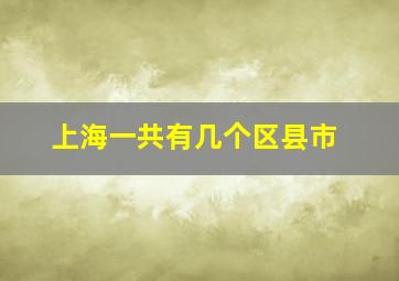 上海一共有几个区县市