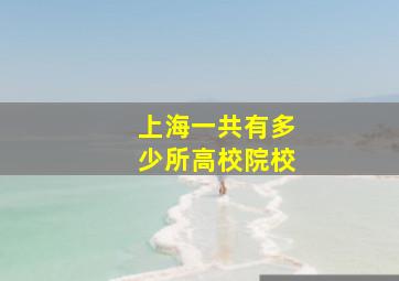 上海一共有多少所高校院校