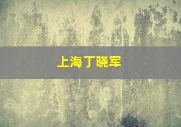 上海丁晓军