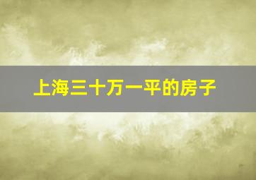 上海三十万一平的房子