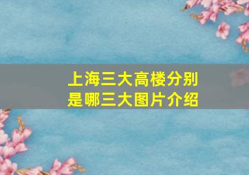 上海三大高楼分别是哪三大图片介绍