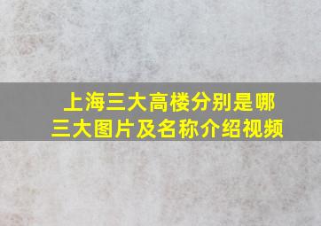 上海三大高楼分别是哪三大图片及名称介绍视频