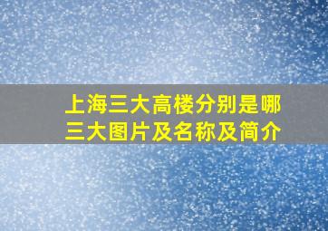 上海三大高楼分别是哪三大图片及名称及简介