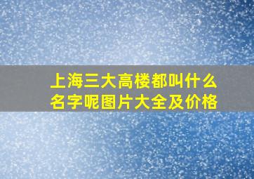 上海三大高楼都叫什么名字呢图片大全及价格