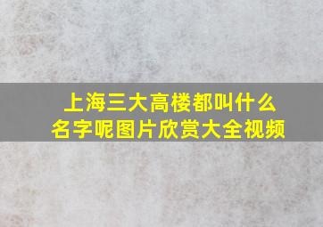 上海三大高楼都叫什么名字呢图片欣赏大全视频