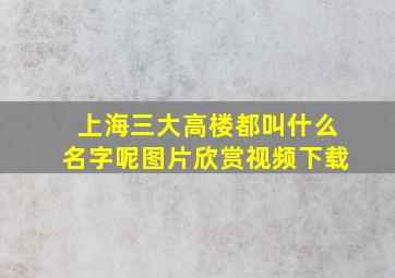 上海三大高楼都叫什么名字呢图片欣赏视频下载