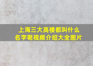 上海三大高楼都叫什么名字呢视频介绍大全图片