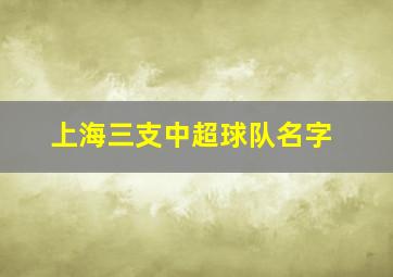 上海三支中超球队名字