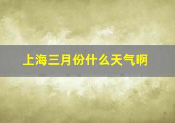 上海三月份什么天气啊