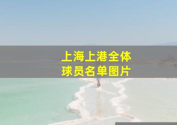 上海上港全体球员名单图片