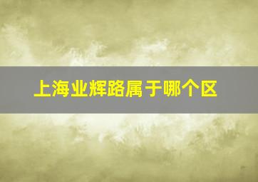 上海业辉路属于哪个区