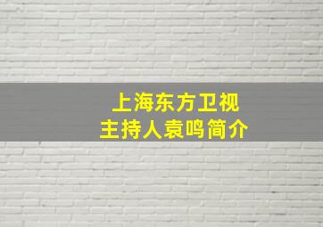 上海东方卫视主持人袁鸣简介