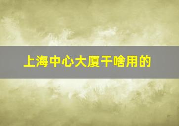 上海中心大厦干啥用的