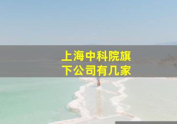 上海中科院旗下公司有几家