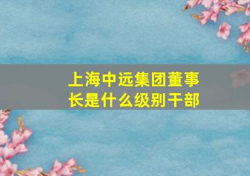 上海中远集团董事长是什么级别干部