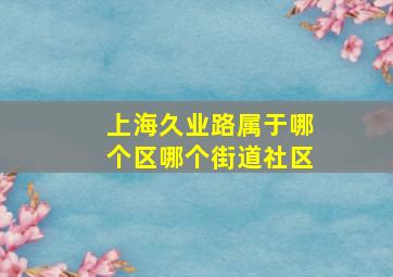 上海久业路属于哪个区哪个街道社区