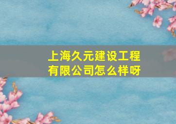 上海久元建设工程有限公司怎么样呀