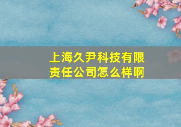 上海久尹科技有限责任公司怎么样啊