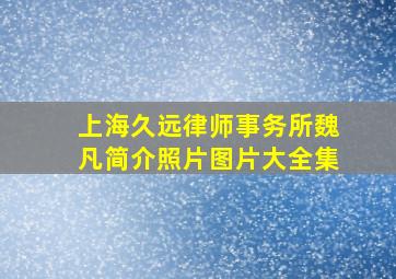 上海久远律师事务所魏凡简介照片图片大全集