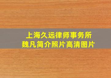 上海久远律师事务所魏凡简介照片高清图片